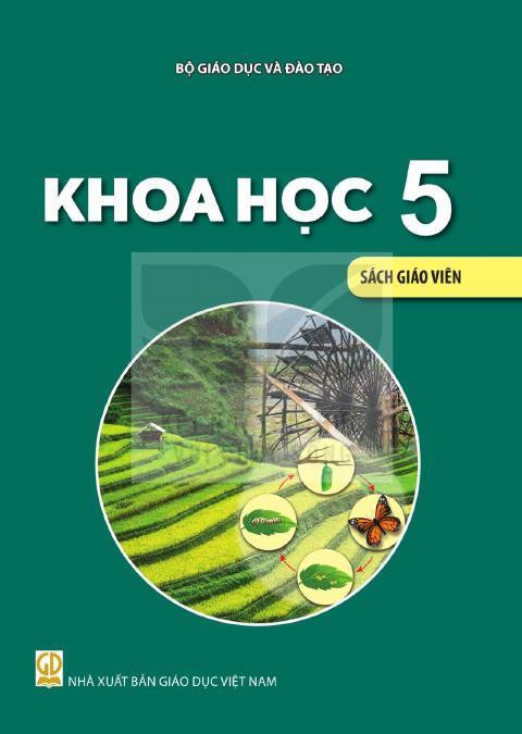 Sách giáo viên Khoa học 5 - Kết nối tri thức 2026-2027